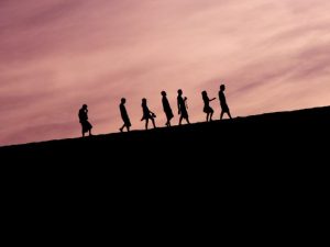 Ngfp Fellowship Ngfp